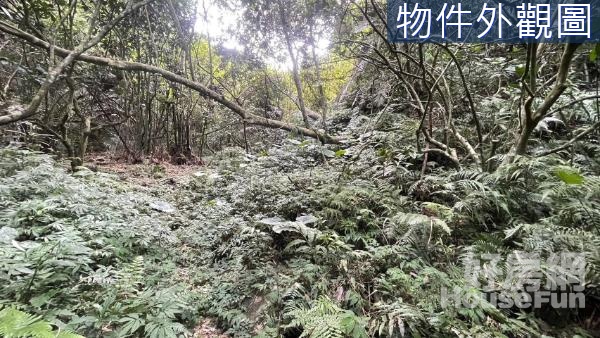 冬山淋漓坑242超低總價可步行到達山坡地