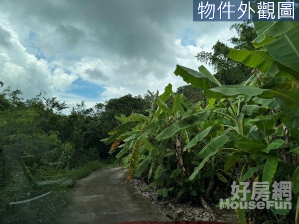 ✯內門區溝坪段山坡地保育區農牧用地~碳權使用