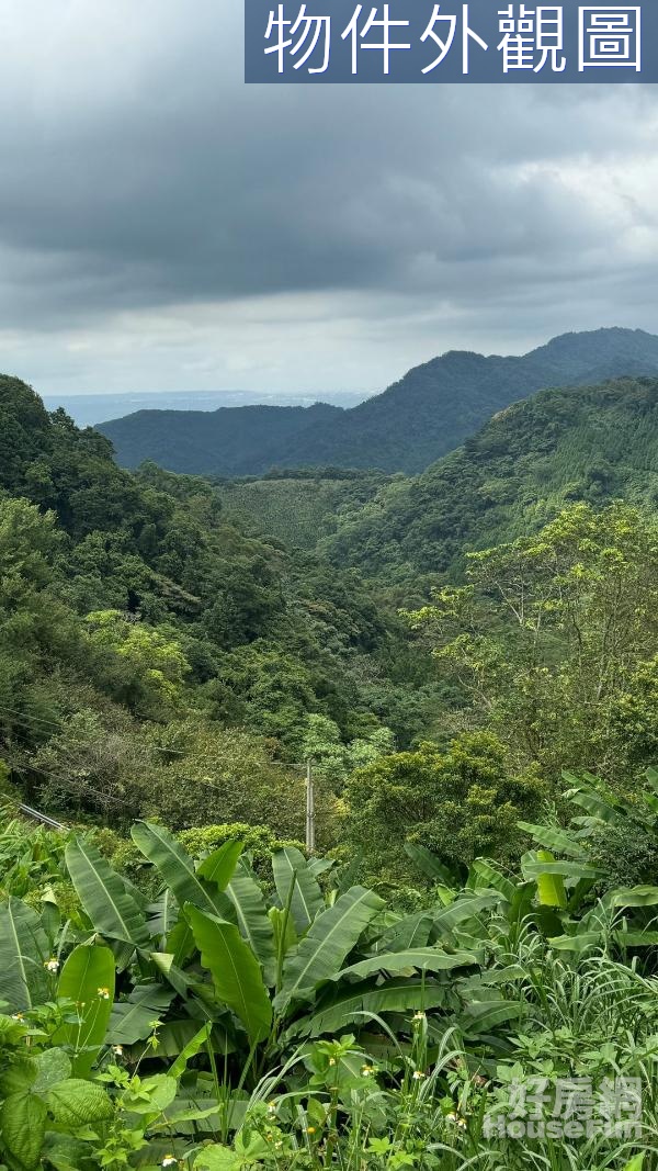 尖石馬胎臨路低總價美地