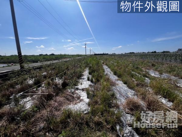 東山枋子林二面路農地