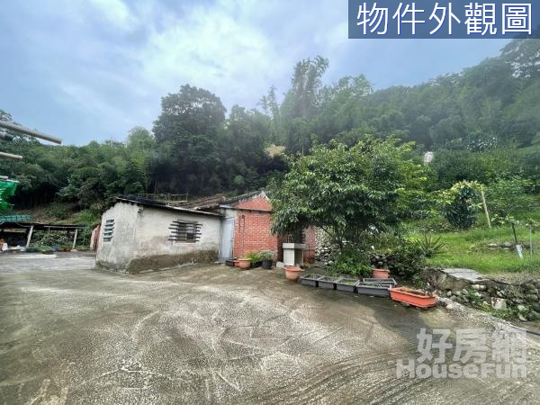 關西大旱坑臨路丙建