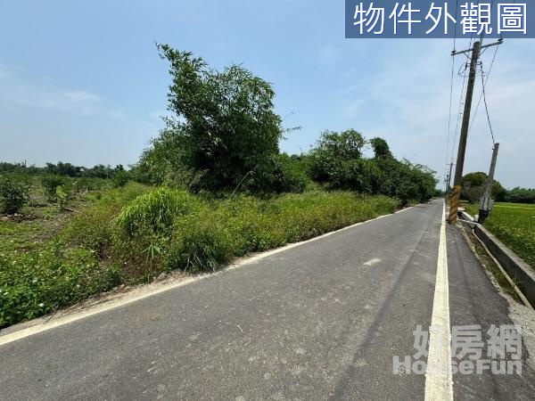 大林雙面路美農地