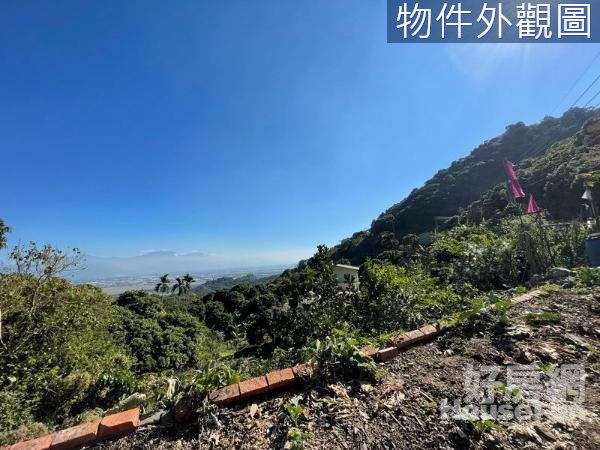 旗山中寮山頂無敵景觀3分臨路林地