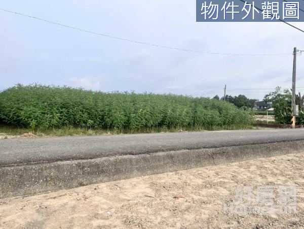 路竹區大面寬16米地形方正 臨路美農地2.89分