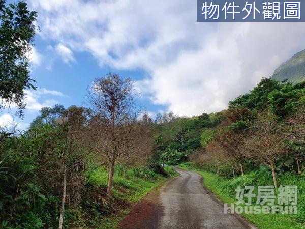 🍎專任～慈濟貓空眺望山景原保農地🍎