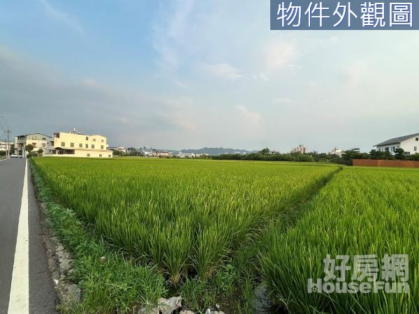 草屯新興段近中投公路旁2.5分美農地