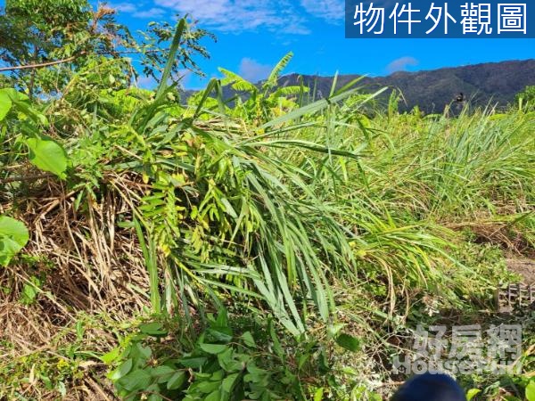 ( 專賣 ) 壽豐都內漂亮小筆農地