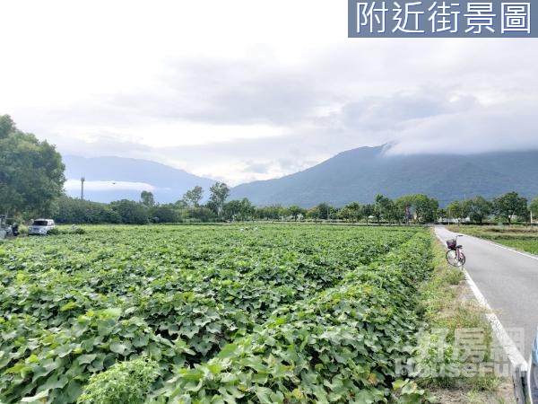 花蓮吉安鄉台九線上1甲農地14F374