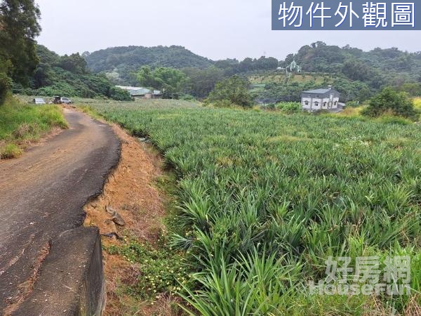 大樹區【井仔腳】平坦無需整理(農地+丙種建地)