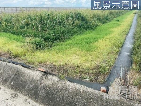 嘉義住商一銀 鹿草庄內農地 地形方正 生活機能佳