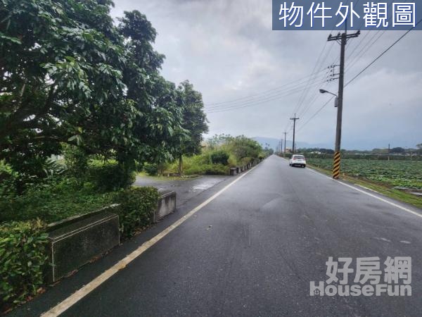 （×獨家×）17F花蓮鳳林雙面臨路面寬免填土農地