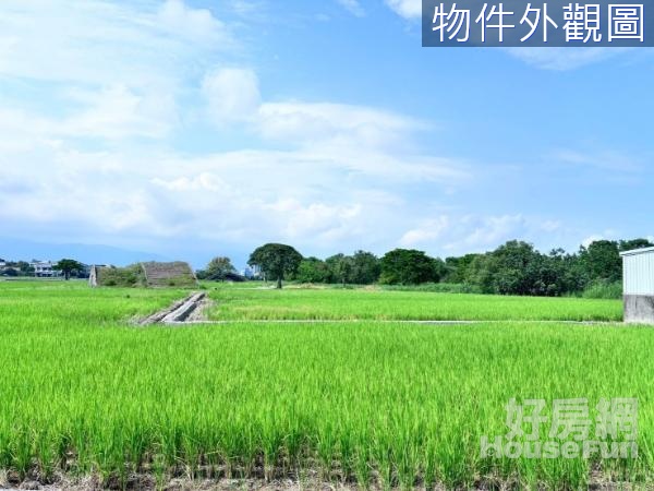 近宜蘭運動公園漂亮珍珠方正小農地