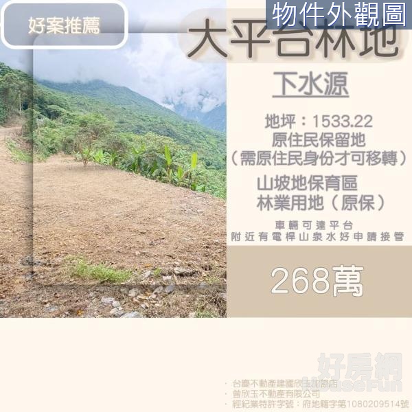 秀林/原保景觀大平台林地 F720