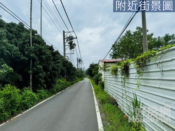 旗山區幽靜臨路荔枝園