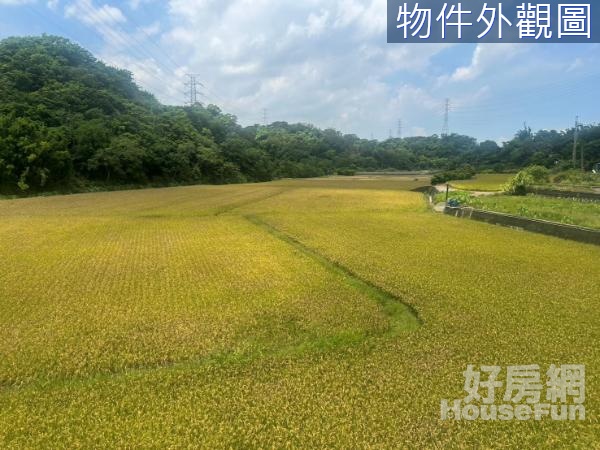 寶山崎林段超平坦美農地