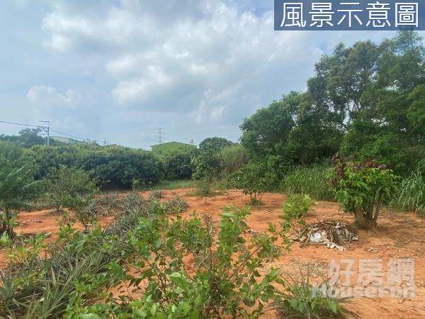 沙鹿專任近中山路保護地