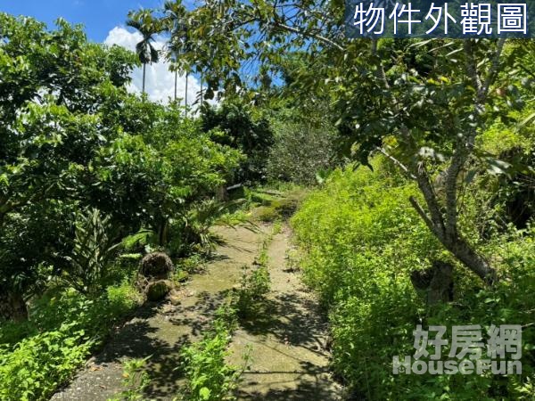 霧峰區南坑段開心果園山坡地