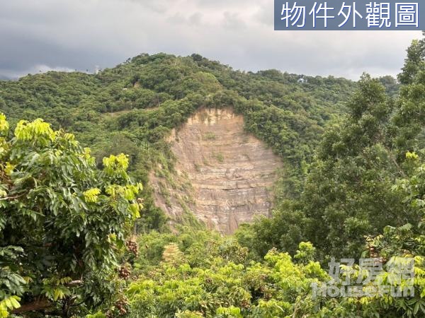 霧峰【桐林社區景觀農地】國小4分鐘