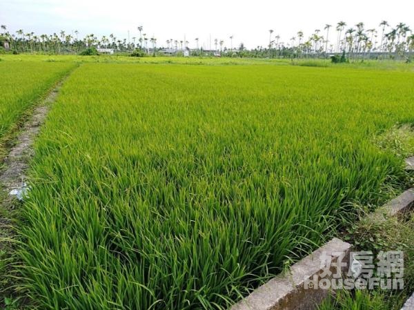 潮州大路邊近鐵道博物館方正漂亮農地