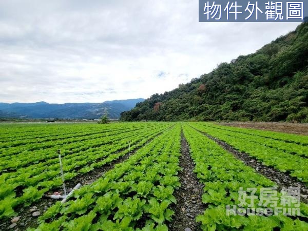 長埤湖風景區旁超便宜農地