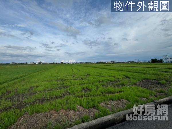 礁溪玉田近高速公路美農地可配建農地/近191線