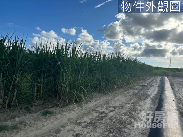 安南都內大面寬增值農地