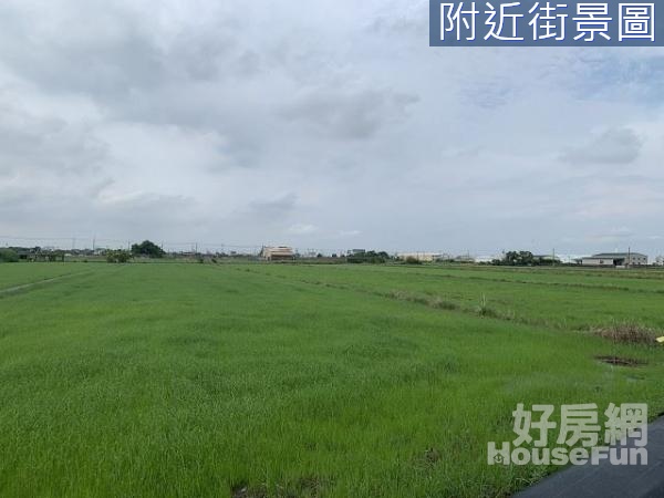 嘉義住商一銀 故宮南院旁農地 有井水 有電