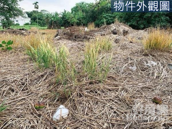 🔰花蓮瑞穗中山路608坪都內建地UE491