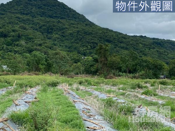 🌱獨家專售~瑞穗天合飯店旁形狀工整農地