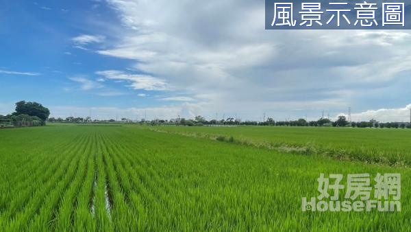 台南後壁近天鵝湖方正美農地