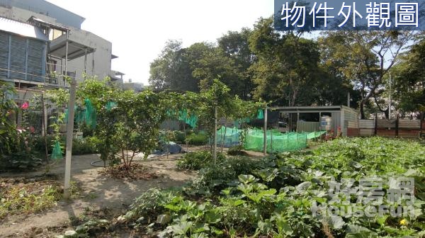 大中交流道*新民國小*大面寬住四建地