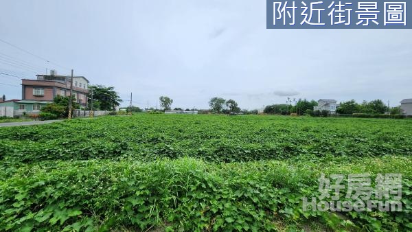 專任吉安都內方正臨雙面路美農地14F254