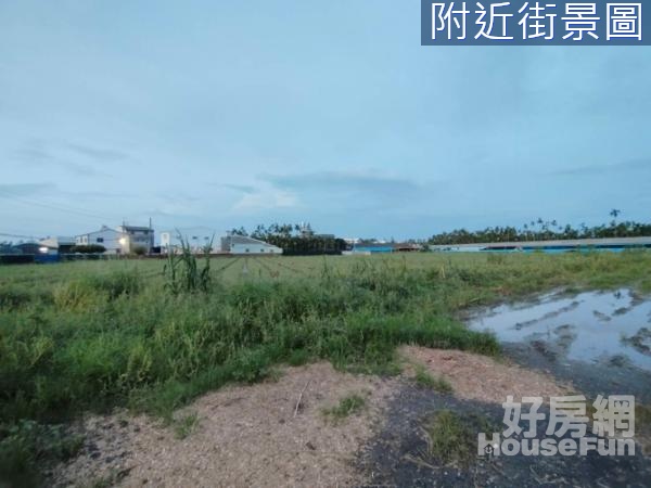 屏東大學+縣民公園馬路旁大面寬農地