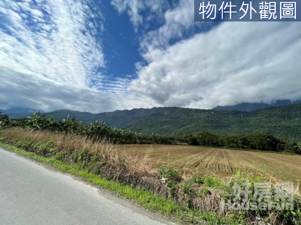 豐田村莊旁方正農地-近豐山國小花東縱谷