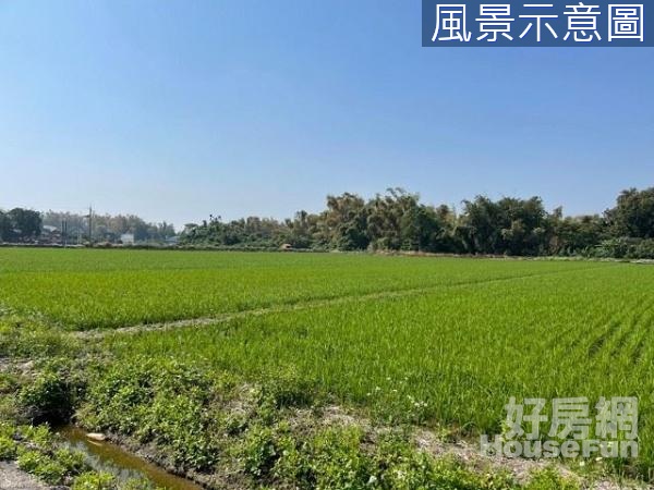 嘉義住商一銀 草店2.8分俗農地 風景優美鄉村慢活