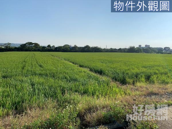 楊湖路近湖口市區六米路旁漂亮759坪美農地