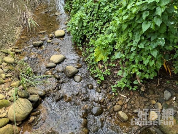 <專任>林口區頂福段桃花園農地(1702坪)