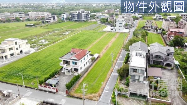 羅東鎮竹林角地大面寬423美農地