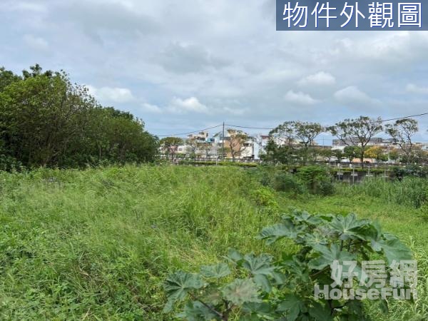 竹香南雙面臨路農地