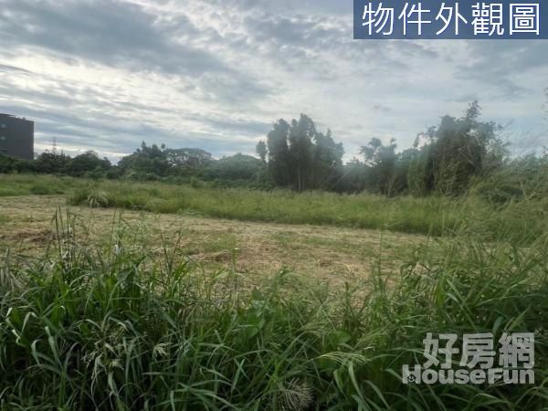 楊梅田園風光帝王座向甲種建築用地+農地