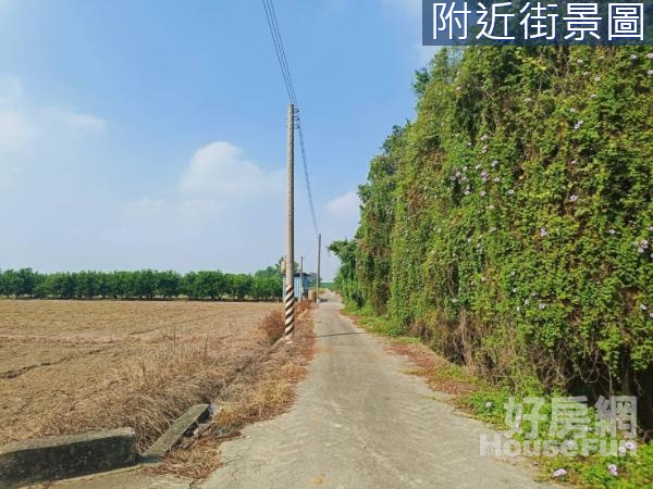 東山大坪數低總價美農地