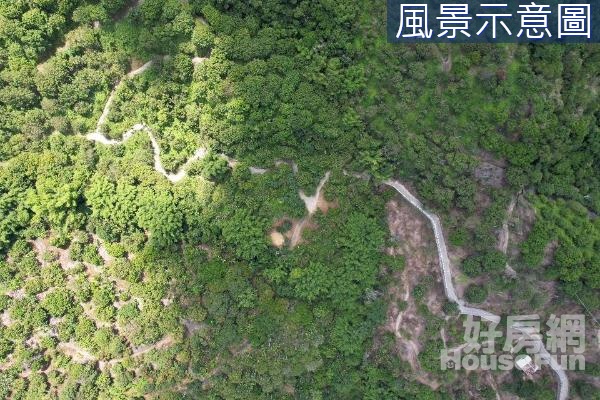 ✨台中霧峰✨稀有超大8293坪農牧用地