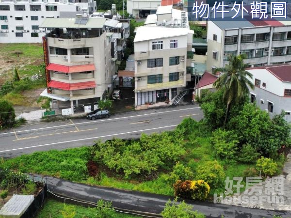 台南玉井大坪數坐擁虎頭山投資自住臨路透天