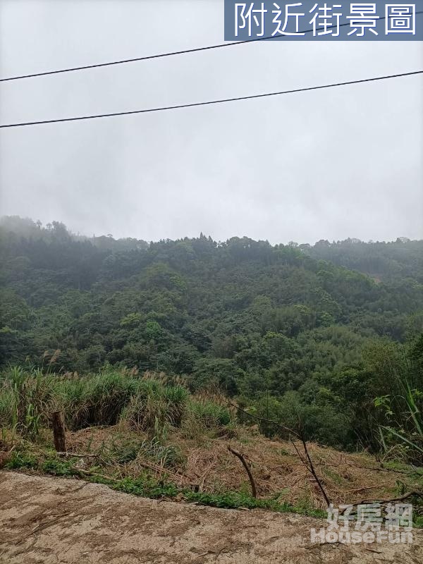 尖石鄉義興村很山上馬胎部落原保地(二)