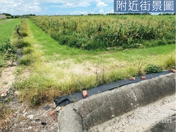 嘉義住商一銀 鹿草下潭雙面路農地 地面方正 免填土