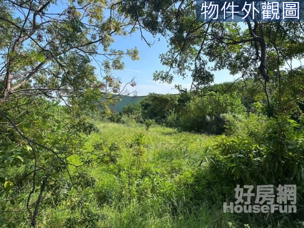 新竹延平路二段稀有虎山段平坦818坪農牧美地