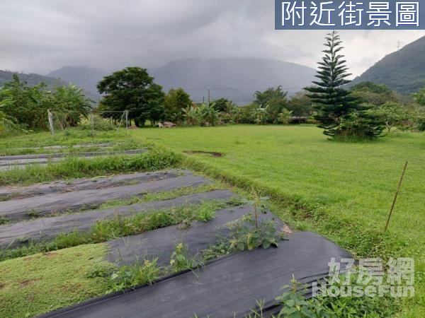 吉安干城小鎮～山青水盈雙面路農地15F174