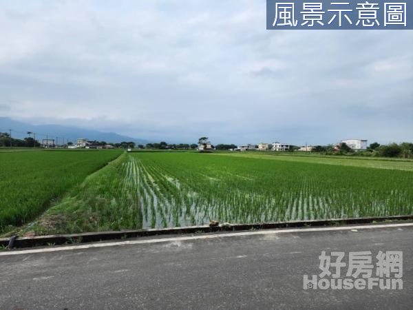 三星大湖大面寬農地