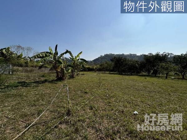 大社近交流道平坦農地有水.地上有果樹