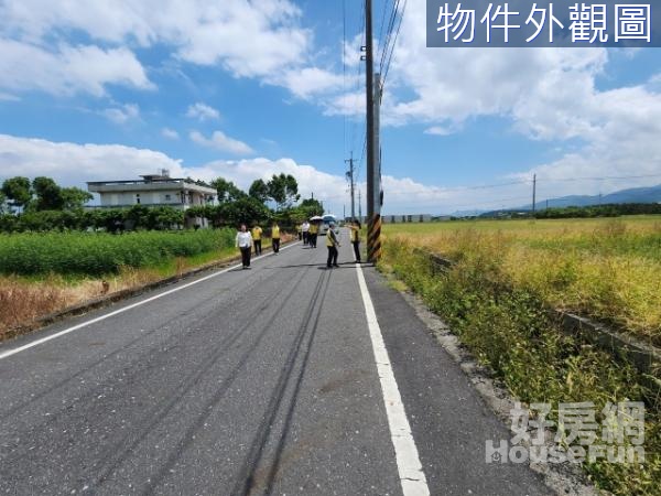 梅花湖大面寬漂亮農地